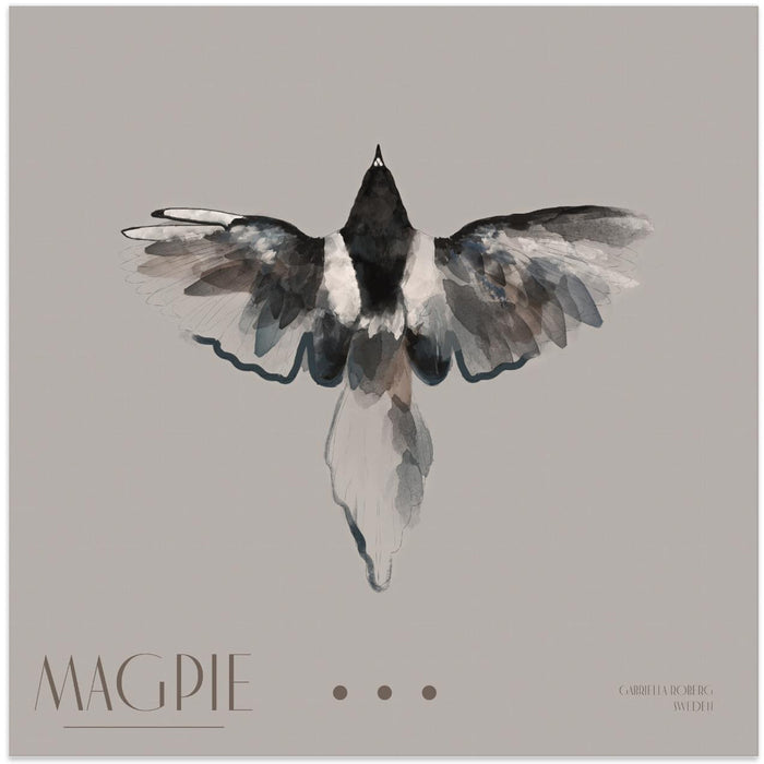 Magpie Square Canvas Art