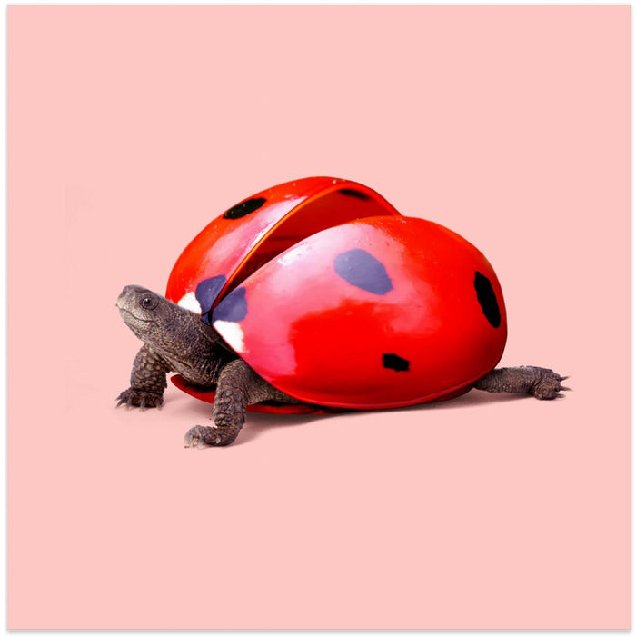 Ladybug Turtle Square Canvas Art Print