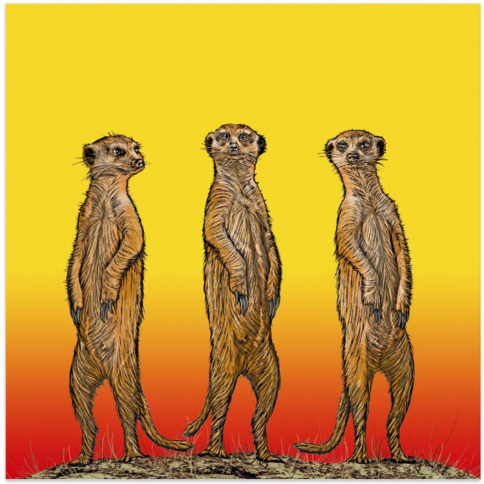 Meerkat Gang at Sunset Square Canvas Art