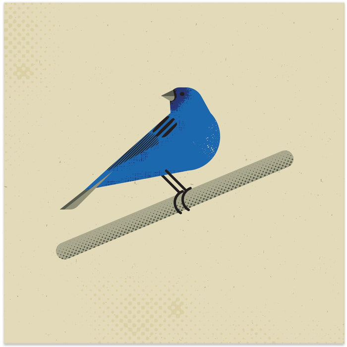 Indigo Bunting Square Canvas Art Print