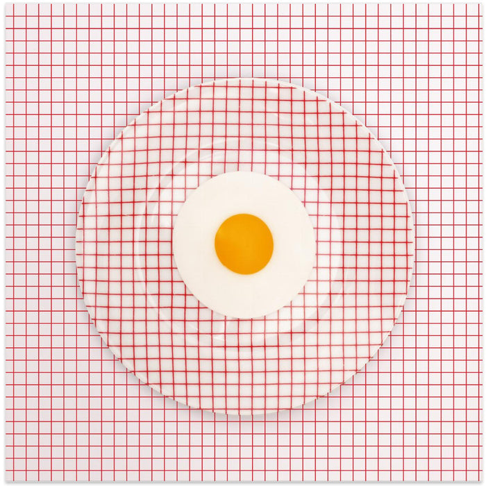 Egg Plate Ou0.1 Square Canvas Art Print