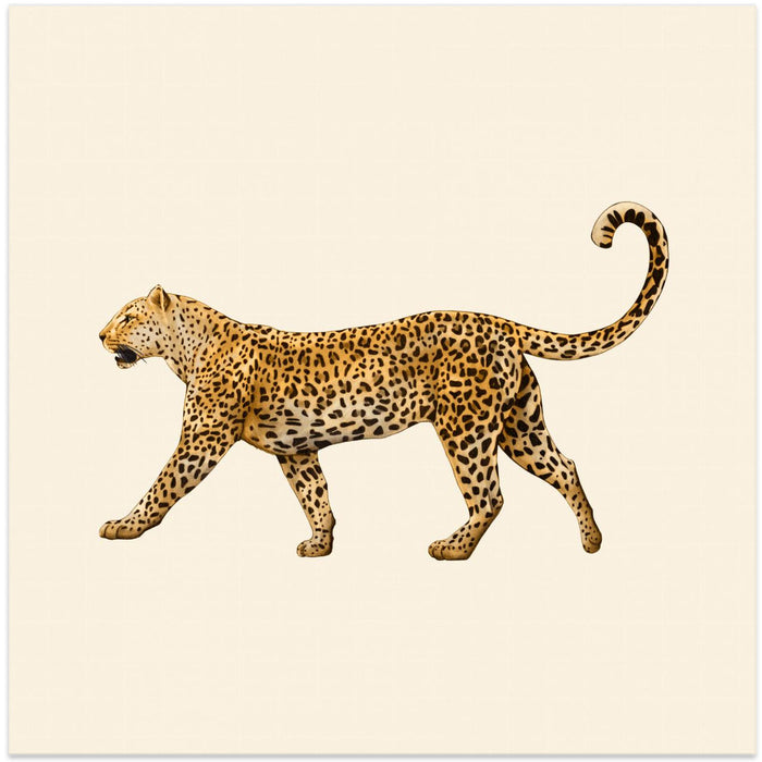 Leopard Square Canvas Art