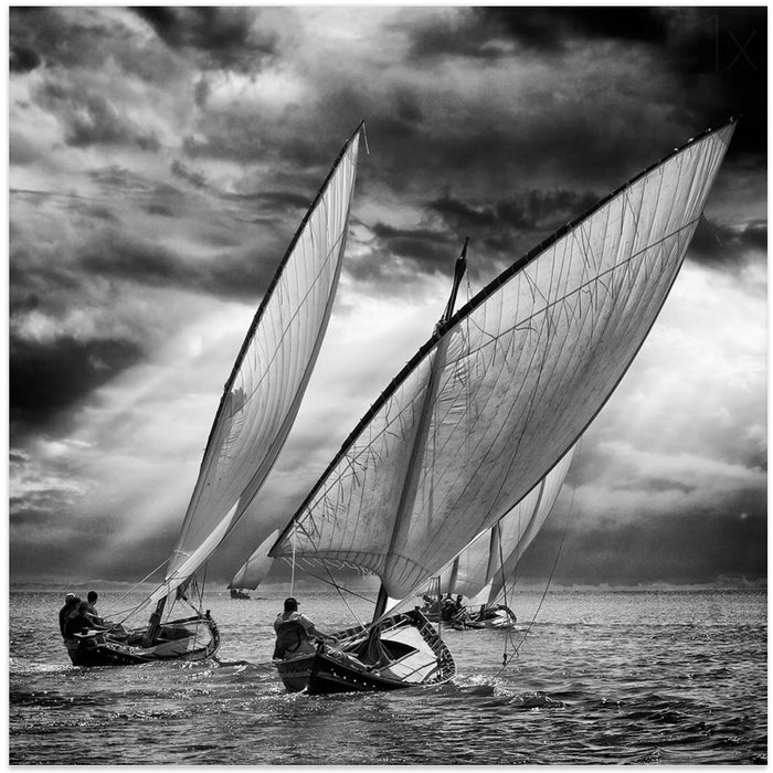 Sailboats and Light Square Canvas Art Print