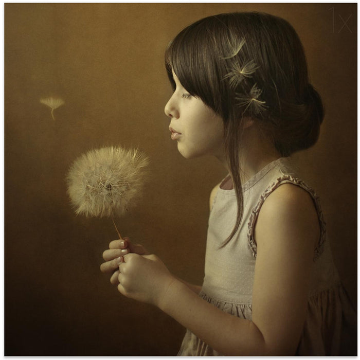 A Dandelion Poem Svetlana Bekyarova Canvas Print Modern Art Home Decor