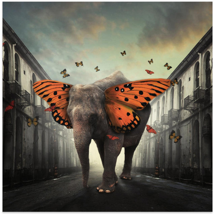 Butterphant Square Canvas Art Print