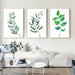 Artwork Set of 3 Tropical Leaf Framed Art Print Set Botanical Home Wall Art