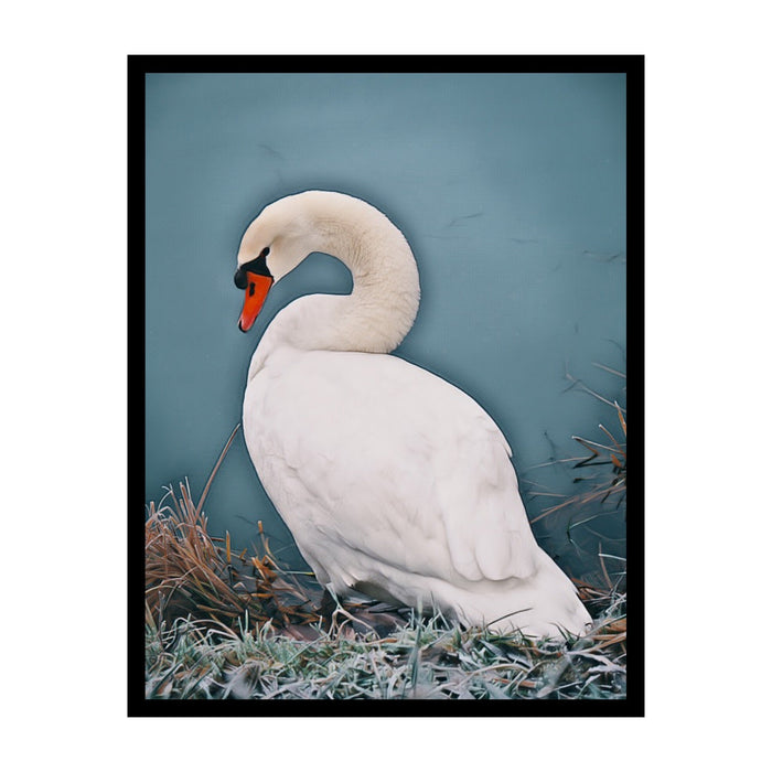 Swan Framed Wall Art Print for Wall Decor