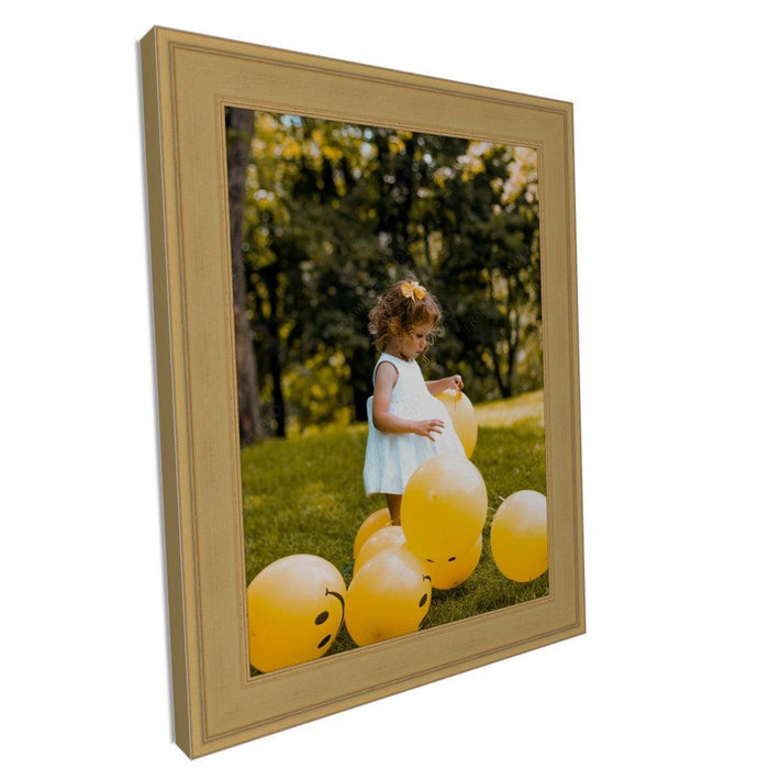 Traditional Gold Leaf Flat Panel Picture Frame - Modern Memory Design Picture frames - New Jersey Frame shop custom framing