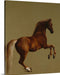 Whistlejacket by George Stubbs Canvas Classic Artwork