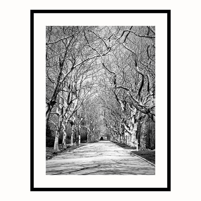 Southampton New York Art Framed Tree Street